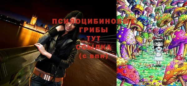 бутират Беломорск
