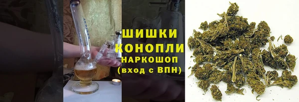 молекула духа Белоозёрский