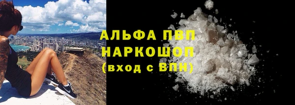 молекула духа Белоозёрский