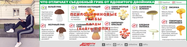 молекула духа Белоозёрский
