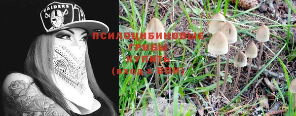мет Белокуриха