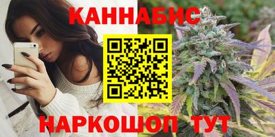 Альфа ПВП Можга