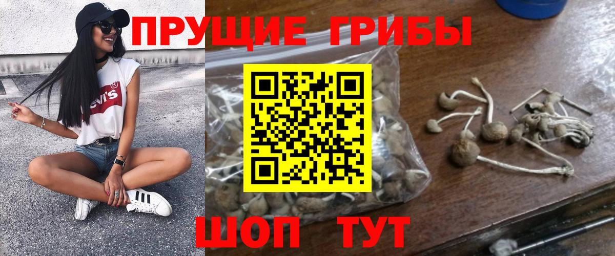 Горячий Ключ  Галлюциногенные грибы GOLDEN TEACHER  Вход с VPN 